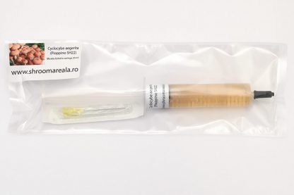Miceliu lichid de ciuperci Cyclocybe aegerita (Pioppino SH22)