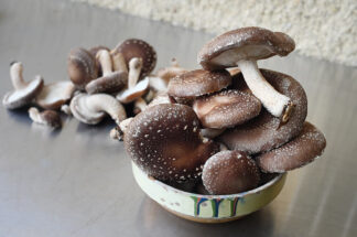 Ciuperci Shiitake proaspete 500gr crescute natural pe busteni